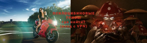 альфа пвп Богданович