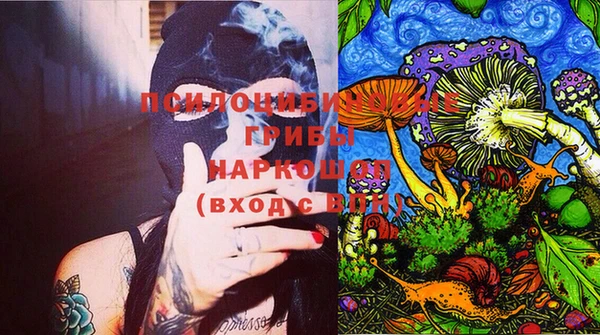 ПСИЛОЦИБИНОВЫЕ ГРИБЫ Богородск