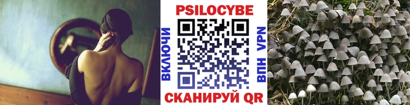 что такое наркотик  Малая Вишера  ОМГ ОМГ ТОР  Псилоцибиновые грибы Psilocybe 